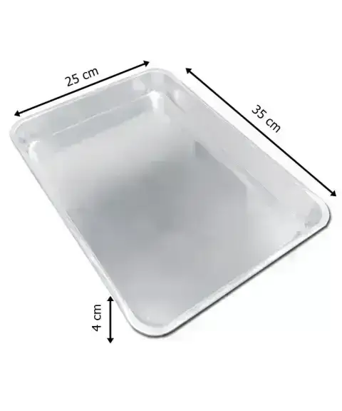 Einwegtablett 25x35 cm