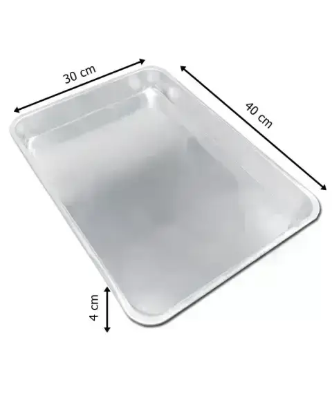 Einwegtablett 30x40 cm